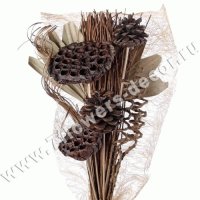 Набор веток натуральных (lotus, mintolla ball)