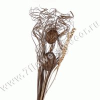 Набор веток натуральных (mintolla ball, cane spring)