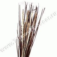 Набор веток натуральных (plm rajnigandha)