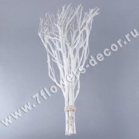 Ветки натуральные декоративные