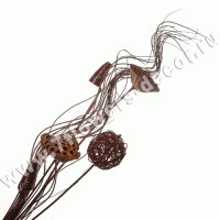 Ветки декоративные (dried flower)
