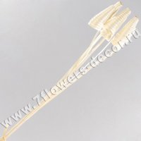 Ветки декоративные (cane cone)