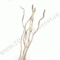Ветки декоративные (kuwa)