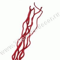 Ветки декоративные (kuwa)