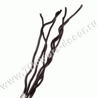 Ветки декоративные (kuwa)