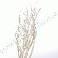 Ветки декоративные (mitsumata)