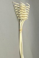 Ветки декоративные (curly rattan)