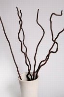 Ветки декоративные (kuwa)