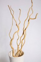 Ветки декоративные (kuwa)