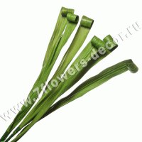 Ветки декоративные (natural item)