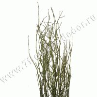 Ветки декоративные (natural twigs)