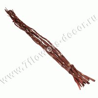 Ветки декоративные (salix)