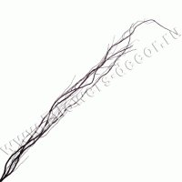 Ветки декоративные (salix)