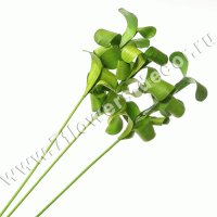 Ветки декоративные (бамбук)
