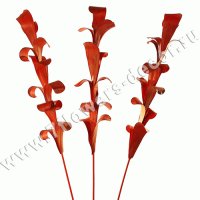 Ветки декоративные (бамбук)