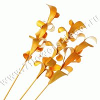 Ветки декоративные (бамбук)