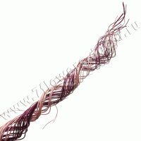 Ветки декоративные (ива)