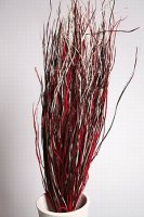 Ветки декоративные микс (snake grass)