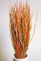 Ветки декоративные микс (snake grass)