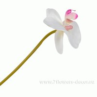 Цветок искусственный Фаленопсис