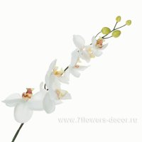 Цветок искусственный Фаленопсис
