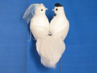 Голуби свадебная парочка на проволоке