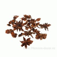 Набор аниса декоративного