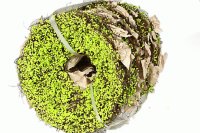 Каркас для букета, ротанг с декором