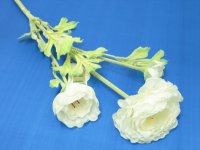 Камелия