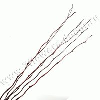 Ветки декоративные лакированные (бамбук)