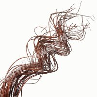 Ветки декоративные (ива)