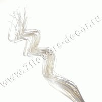 Ветки декоративные (ива)