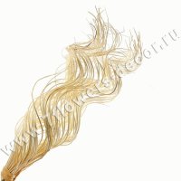 Ветки декоративные (ива)