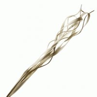 Ветки декоративные twisted wood (ива)