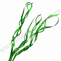 Ветки декоративные twisted wood (ива)