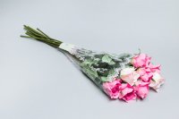 Набор рюмок Мелодия цв.рис