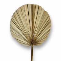 Пальмовый лист