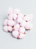 Хлопковые коробочки