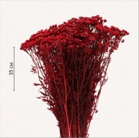 Набор сухоцветов Пижма стабилизированная