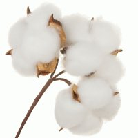 Хлопок на вставке