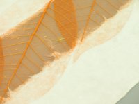 Бумага Малбери листья