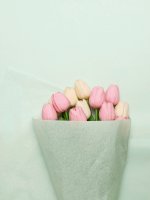 Бумага тишью влагостойкая