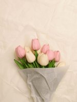 Бумага тишью